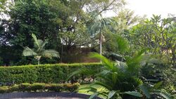 Ridout Road (D10), Detached #497030371